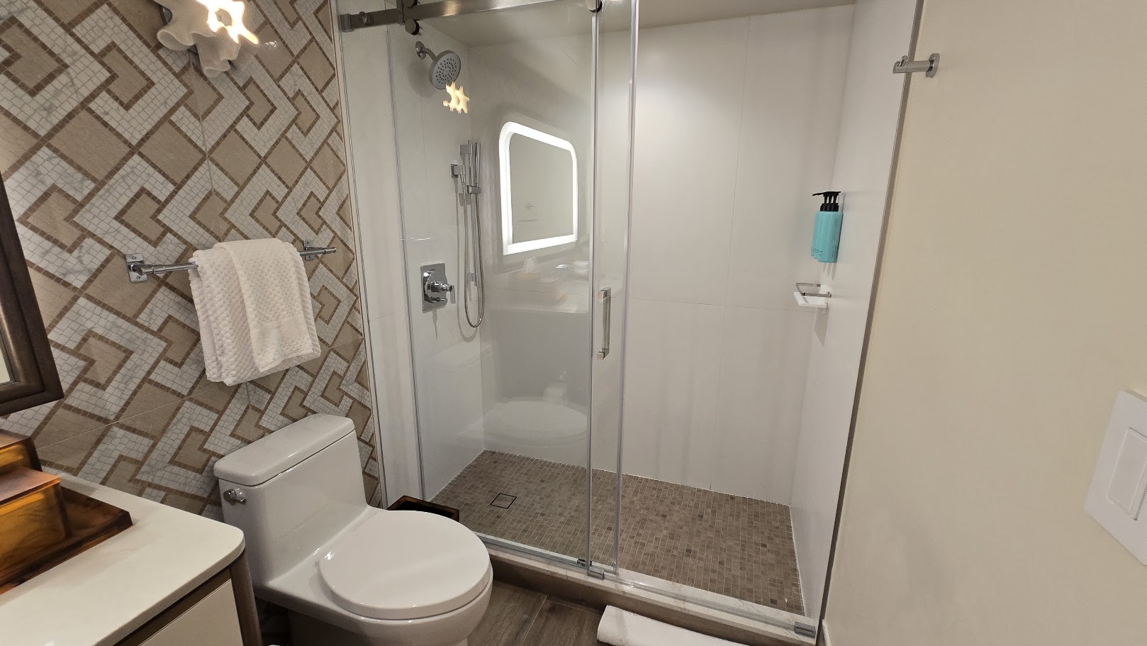Walk-In Glass Rain Shower