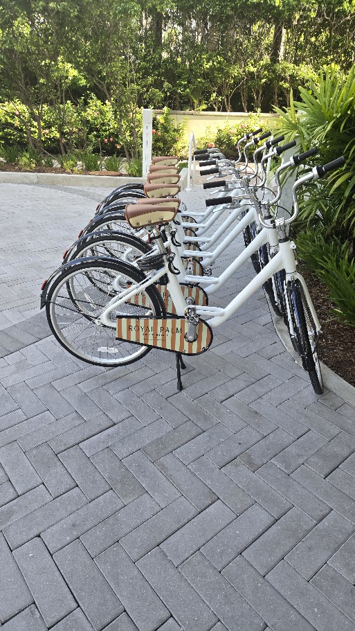 Royal Palm Beach Cruiser Bicycles